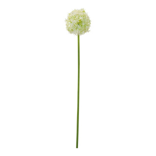 Allium  en plastique Color: vert/blanc Size: 76cm X  Ø 14cm