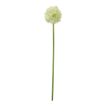 Allium aus Kunststoff Größe:76cm, Ø 14cm Farbe: grün/weiß