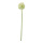 Allium aus Kunststoff     Groesse: 76cm, Ø 14cm - Farbe: grün/weiß #