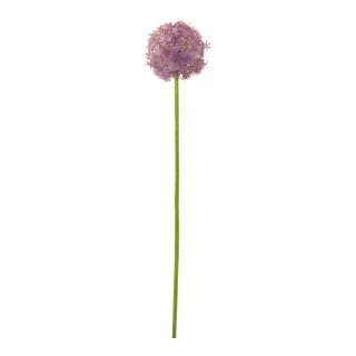 Allium  en plastique Color: vert/mauve Size: 76cm X  Ø 14cm