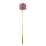 Allium aus Kunststoff Größe:76cm, Ø 14cm Farbe: grün/violett