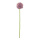 Allium  en plastique Color: vert/mauve Size: 76cm X  Ø 14cm