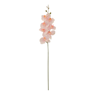 Orchidee aus Kunststoff/Kunstseide     Groesse: 84cm - Farbe: rosa/grün #