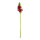 Ornithogalum  - Material: out of plastic/artificial silk - Color: green/burgundy - Size: 50cm X Ø 7cm
