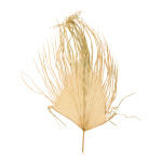 Palmenblatt aus Naturmaterial Größe:110x70cm Farbe:...