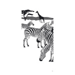 Motivdruck Zebra, Stoff, Größe: 180x90cm Farbe:...