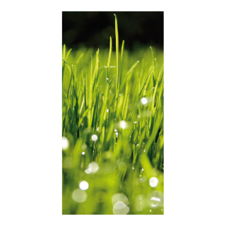 Motivdruck "Tautropfen im Gras", Papier, Größe: 180x90cm Farbe:    #