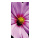 Banner "Cosmea"  - Material: made of paper - Color: pink/purple - Size: 180x90cm