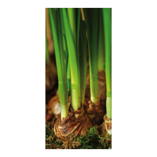 Banner "Flower bulbs" paper - Material:  - Color: green/brown - Size: 180x90cm