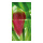 Banner "Tulip blossom" paper - Material:  - Color: green - Size: 180x90cm