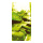 Motif imprimé "Forêt de lutins" tissu  Color: vert Size: 180x90cm