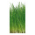 Banner "Blades of grass" paper - Material:  - Color: green - Size: 180x90cm