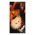 Motivdruck Schmetterling, Papier, Größe: 180x90cm Farbe:...