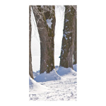 Banner "Winterly avenue" paper - Material:  -...