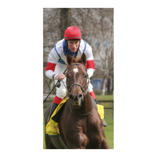 Banner "Horse racing" paper - Material:  - Color: multicoloured - Size: 180x90cm