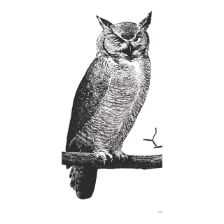 Banner "Eagle owl" paper - Material:  - Color: white/black - Size: 180x90cm