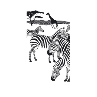 Motivdruck "Zebra", Papier, Größe: 180x90cm Farbe: weiß/schwarz   #