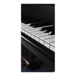  Motivdruck Klaviertastatur aus Stoff