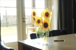Endless Flower Sonnenblume, 20x50cm