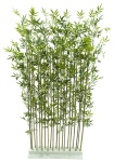 Bambus-Hecke, 80x50x230cm