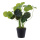 Artificial plant with 36 leaves - Material: in pot - Color: green - Size: 40cm