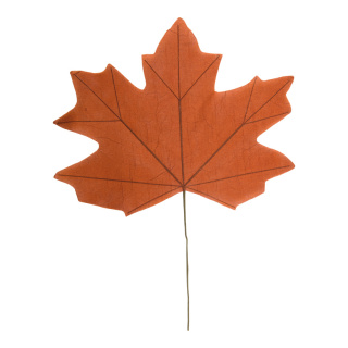 Maple leaf one-sided - Material: out of paper - Color: ocher - Size: 100x80cm X Blattgröße: 80x63cm Stiel 45cm