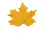 Maple leaf  - Material: out of paper - Color: ocher -...