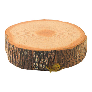 Baumscheibe aus Styropor     Groesse:20x20x5cm    Farbe:naturfarben/braun