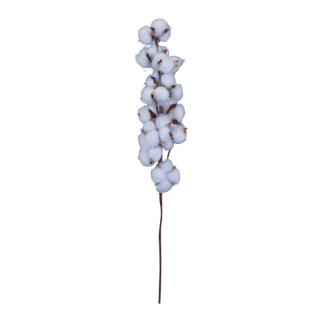 Branche de coton   Color: blanc/brun Size: 63x10cm X Stiel: 30cm
