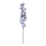 Cotton twig  - Material:  - Color: white/brown - Size:...