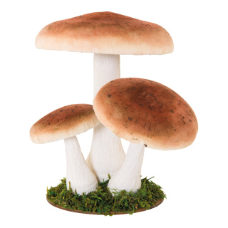 Group of birch mushrooms 3-fold - Material: out of styrofoam - Color: brown/white - Size: 25x22x28cm
