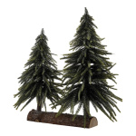 Sapins nobles 2pcs.  Color: green/brown Size: avec pied...