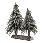 Sapins nobles 2pcs.  Color: green/white Size: avec pied...