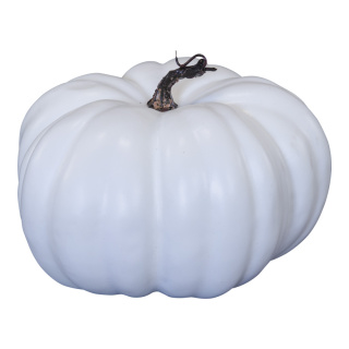 Pumpkin  - Material: out of styrofoam - Color: white - Size: 265x265x20cm