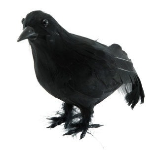 Crow out of styrofoam/feathers, standing     Size: 21x10x14cm    Color: black