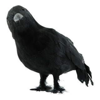 Corbeau en polystyrène/plumes     Taille: 28x12x17cm    Color: noir
