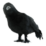 Corbeau  en polystyrène/plumes Color: noir Size:...