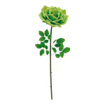 Rose  - Material: artificial silk - Color: green - Size:...