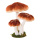 Groupe champignon de roche 3-fois en polystyrène Color: brun/blanc Size: 25x22x30cm