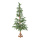 Tannenbaum      Groesse:756 Tips, aus Kunststoff, Holzfuß, Spritzguss Tips, 180cm    Farbe:grün/braun