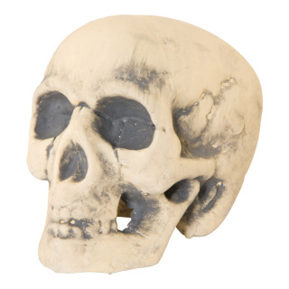 Skull  - Material: out of styrofoam - Color: beige - Size: 20x15x16cm