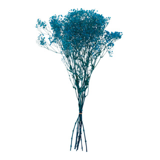 Bouquet de fleurs séchées      Taille: 65-75cm, ca. 110g    Color: turquoise