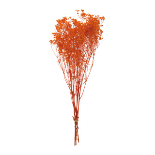 Bouquet de fleurs séchées   Color: orange Size: 65-75cm X ca. 110g