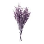 Trockenblumen-Bündel  Abmessung: 70-80cm, ca. 120g Farbe:...