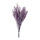 Trockenblumen-Bündel  Abmessung: 70-80cm, ca. 120g Farbe: lila
