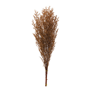 Trockenblumen-Bündel  Abmessung: 70-80cm, ca. 120g Farbe: braun/orange