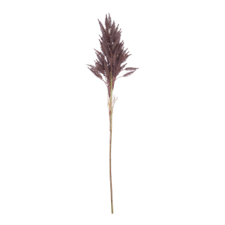 Twig of dried grass  - Material: out of natural material - Color: brown - Size: 80cm
