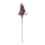 Trockengras-Zweig aus Naturmaterial     Groesse:80cm...