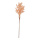 Twig of dried grass  - Material: out of natural material - Color: natural-coloured - Size: 80cm