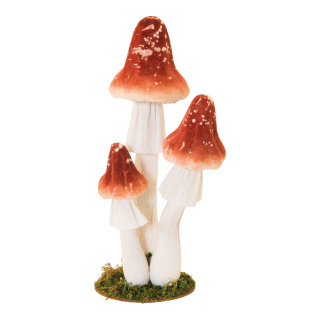 Group of forest mushrooms 3-fold - Material: out of styrofoam - Color: brown/white - Size: 16x12x35cm